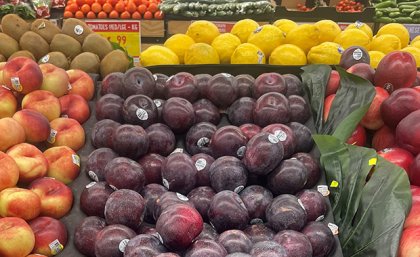 The Queen Garnet plum was developed in Queensland. a tray of plums among other fruit in a supermarket